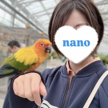 鳥さん可愛い🕊️