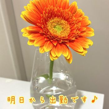  ドキドキ初体験🍲