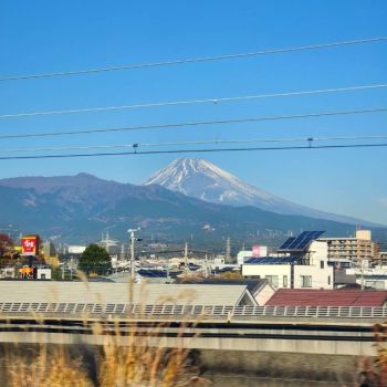 12月前半ありがとうございました🌷.*