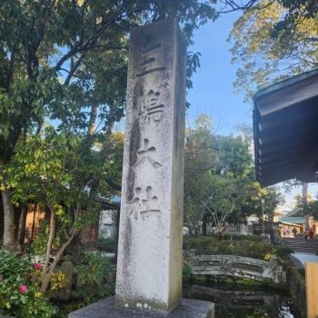 今年もありがとうございました🌷.*