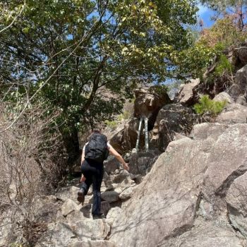 明日から沼津にいます🌷